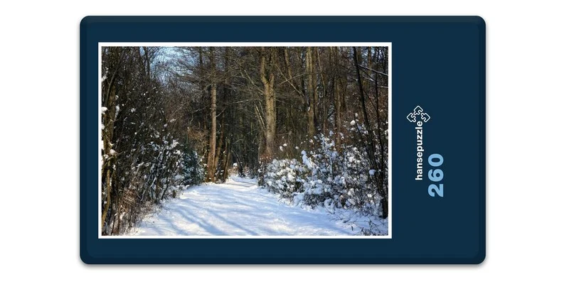 16610 Natur - Waldweg Puzzle