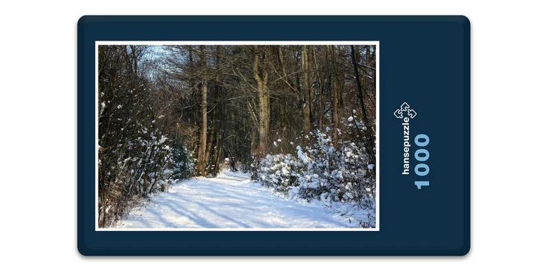 16610 Natur - Waldweg Puzzle