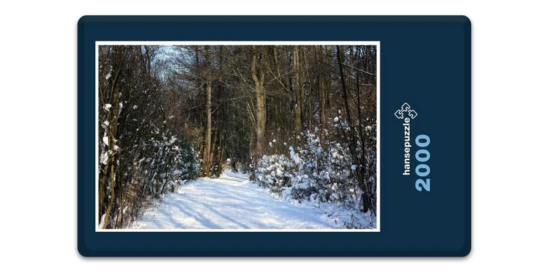 16610 Natur - Waldweg Puzzle