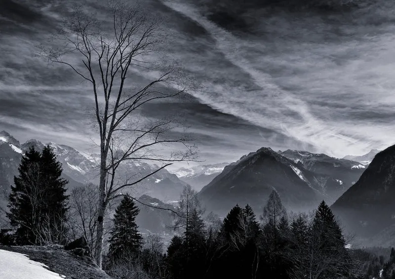 37451 Natur - Winter Puzzle