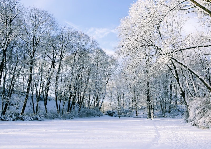 37438 Natur - Winter Puzzle