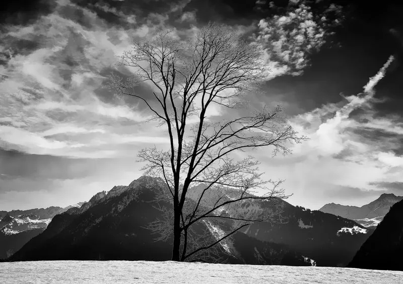 37418 Natur - Winter Puzzle