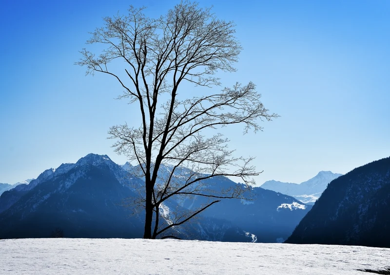37411 Natur - Winter Puzzle