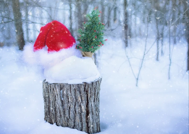 42566 Gefühle - Winterlandschaft Puzzle