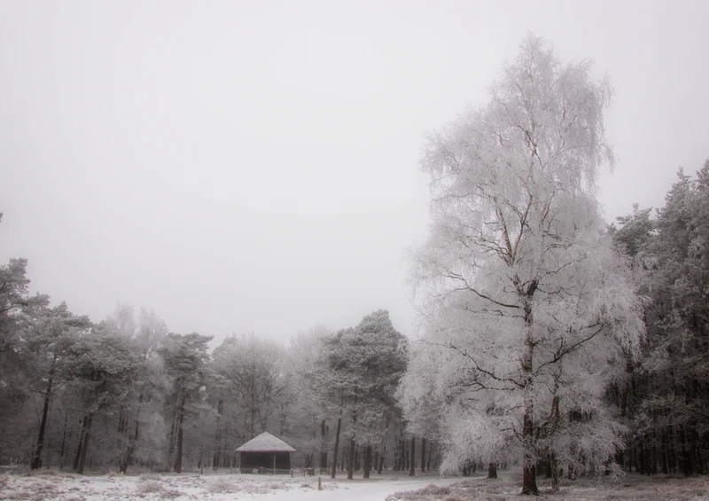 44001 Reisen - Winterlandschaft Puzzle
