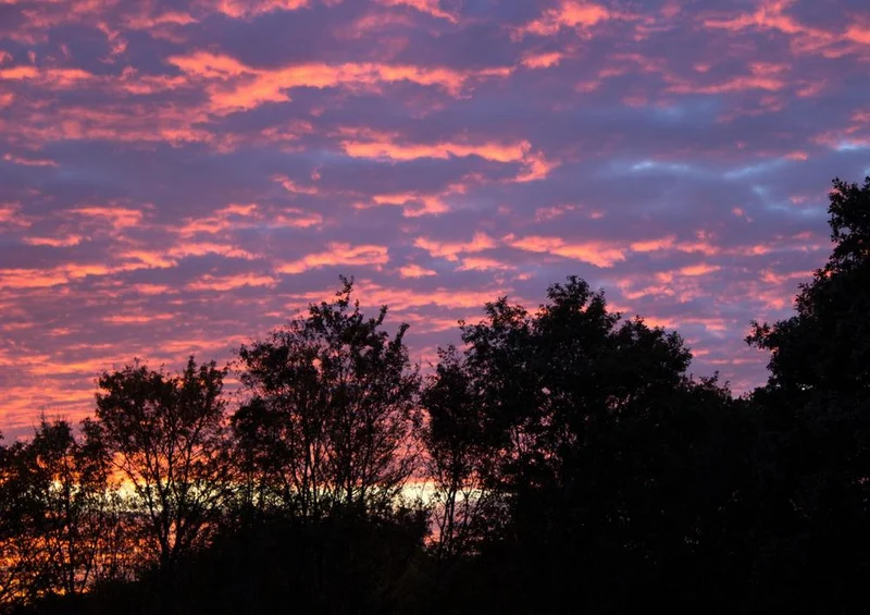 17803 Reisen - Sonnenuntergang Puzzle