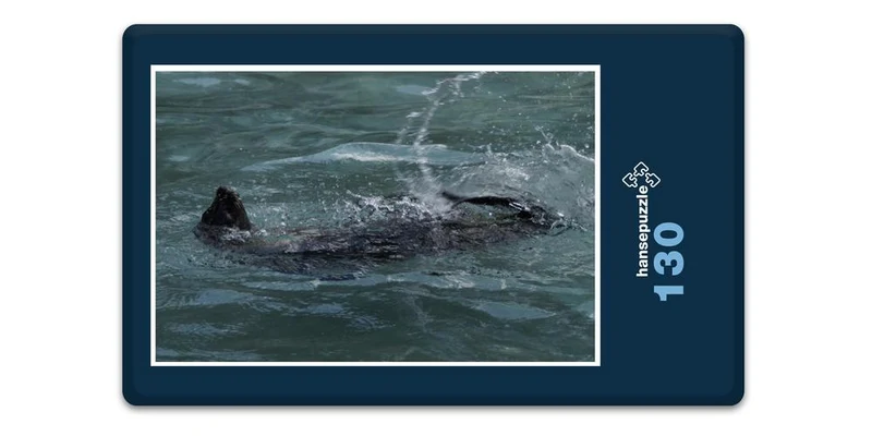 17806 Tierwelt - Seehund Puzzle