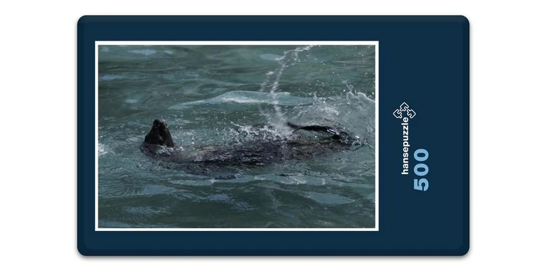 17806 Tierwelt - Seehund Puzzle