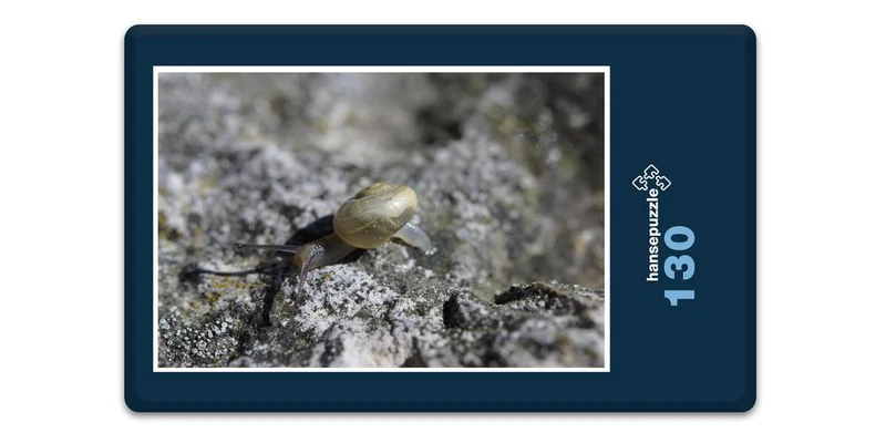 17809 Tierwelt - Schnecke Puzzle