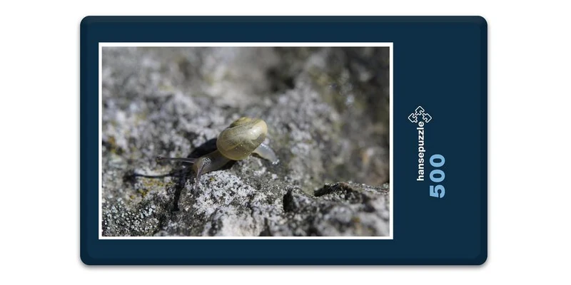 17809 Tierwelt - Schnecke Puzzle