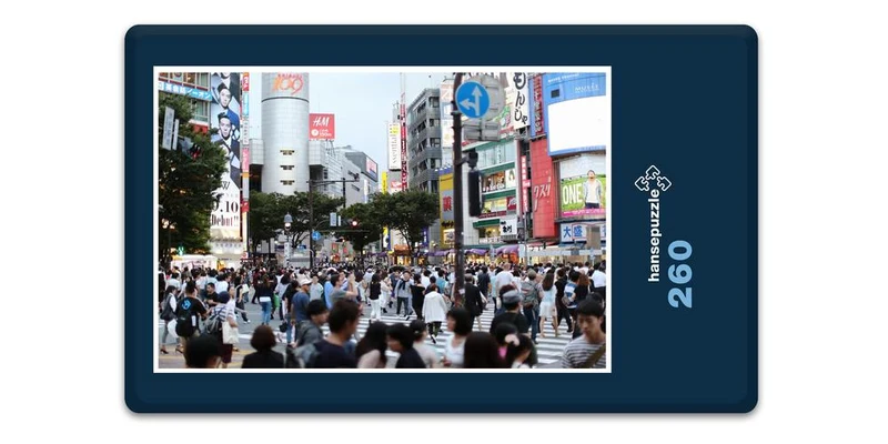 17967 Orte - Shibuya Puzzle
