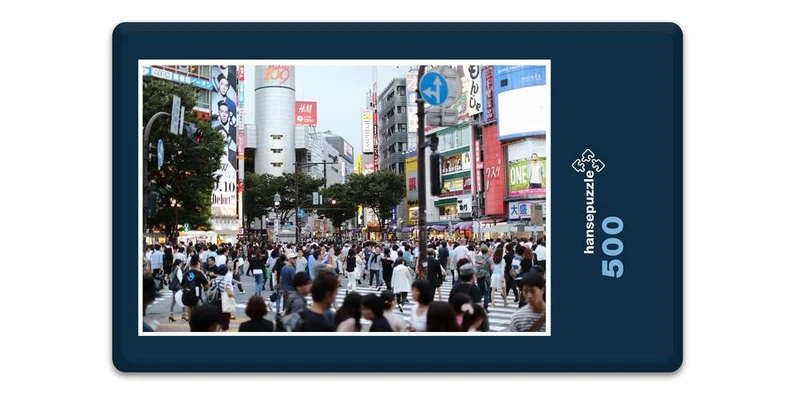 17967 Orte - Shibuya Puzzle