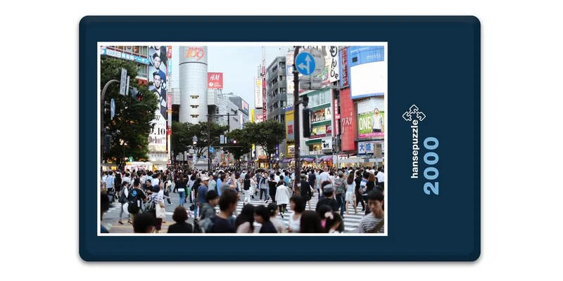 17967 Orte - Shibuya Puzzle