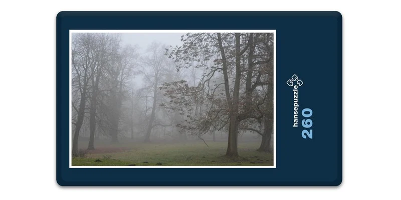 17901 Gefühle - Morgen-Stimmung Puzzle