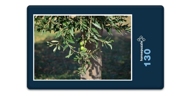 17903 Natur - Oliven-Baum Puzzle