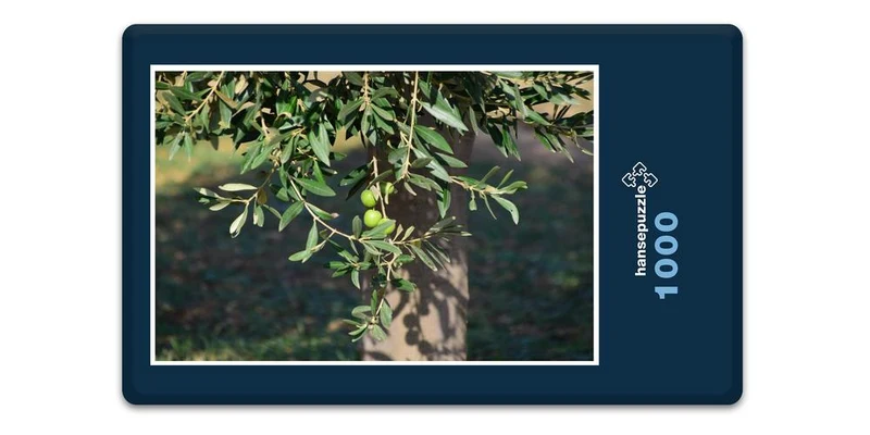 17903 Natur - Oliven-Baum Puzzle