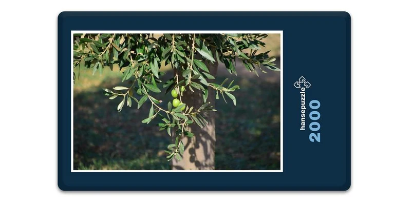 17903 Natur - Oliven-Baum Puzzle