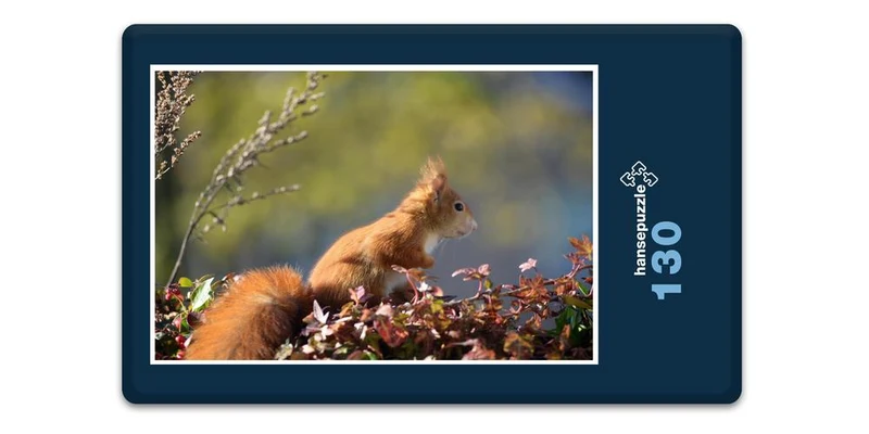 17904 Natur - Neugieriger Nager Puzzle