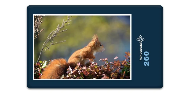 17904 Natur - Neugieriger Nager Puzzle