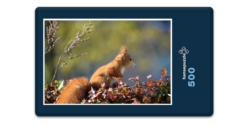 17904 Natur - Neugieriger Nager Puzzle
