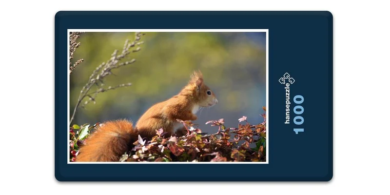 17904 Natur - Neugieriger Nager Puzzle