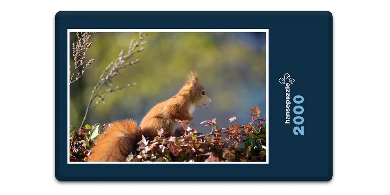 17904 Natur - Neugieriger Nager Puzzle