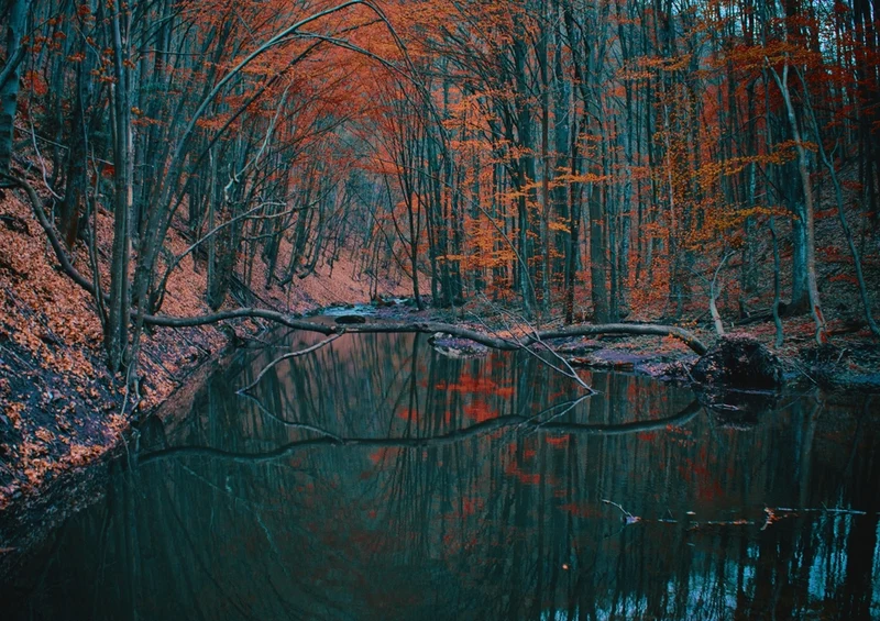 44085 Natur - Fluss Puzzle