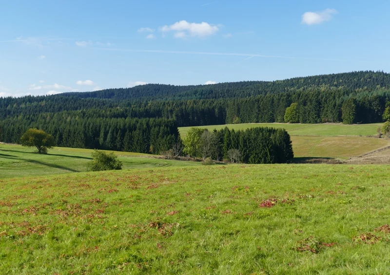 44072 Natur - Wiese Puzzle
