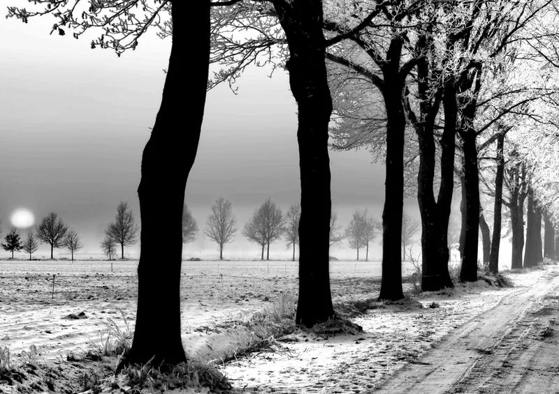 37386 Natur - Winter Puzzle