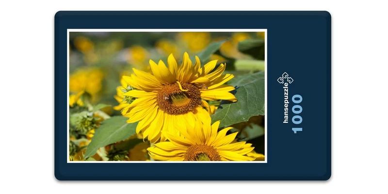 17850 Tierwelt - Sonnenblume Puzzle