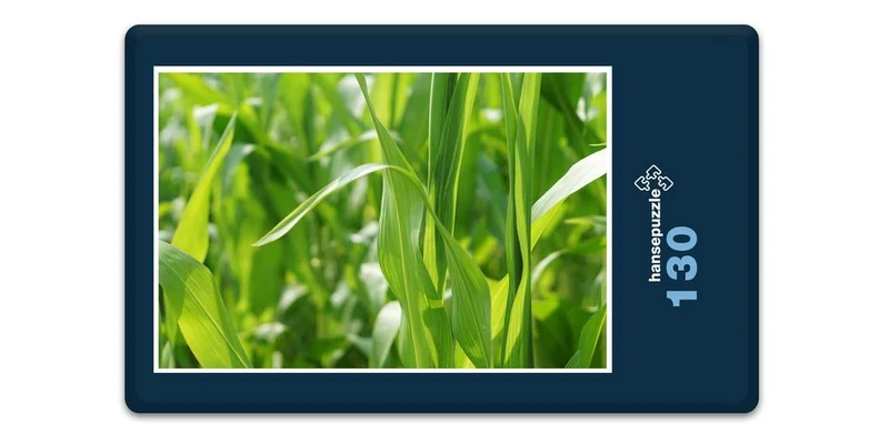 17852 Natur - Im Maisfeld Puzzle
