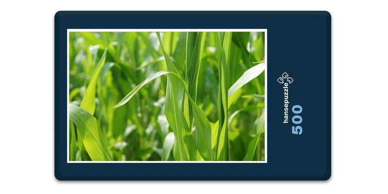 17852 Natur - Im Maisfeld Puzzle