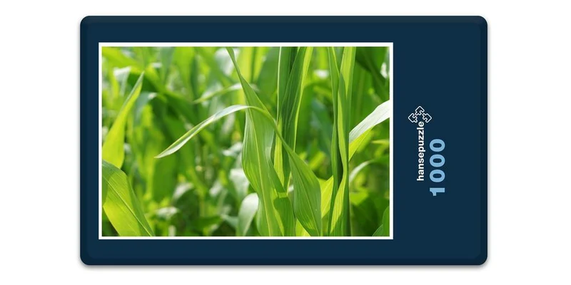 17852 Natur - Im Maisfeld Puzzle