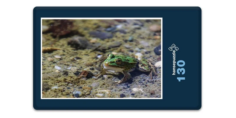 17853 Tierwelt - Frosch im See Puzzle