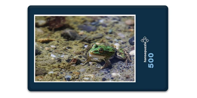 17853 Tierwelt - Frosch im See Puzzle