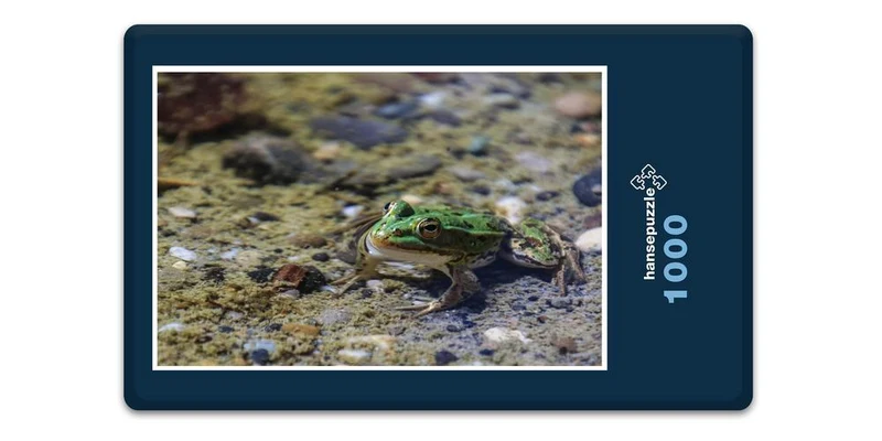 17853 Tierwelt - Frosch im See Puzzle