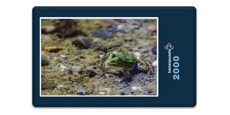 17853 Tierwelt - Frosch im See Puzzle