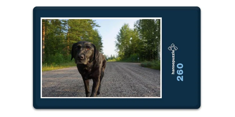 17855 Tierwelt - Labrador Puzzle