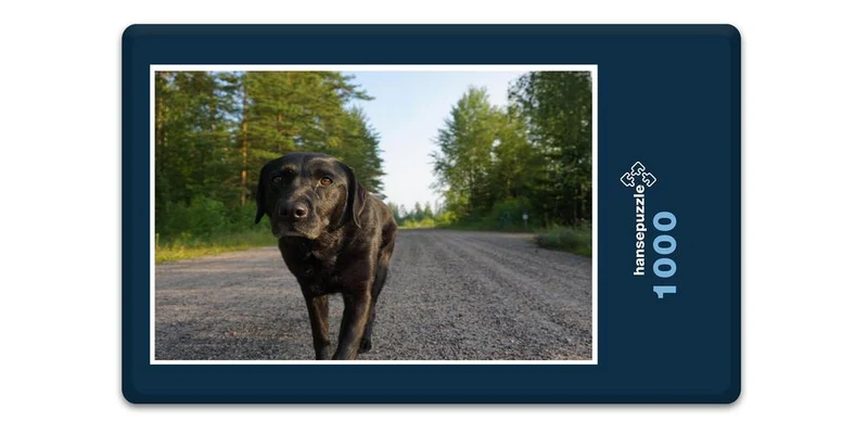 17855 Tierwelt - Labrador Puzzle