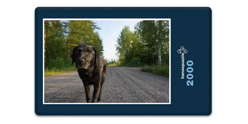 17855 Tierwelt - Labrador Puzzle