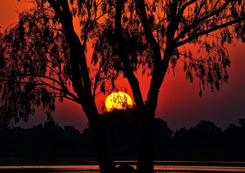 30787 Natur - Sonnenuntergang am Wasser Puzzle