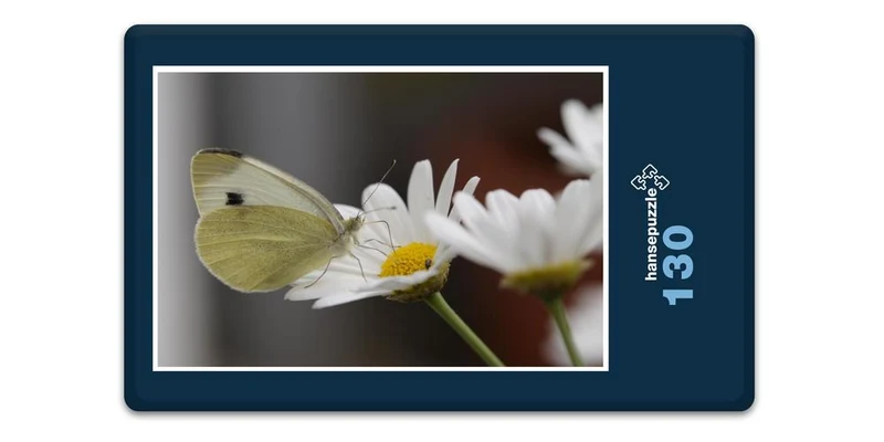 17856 Tierwelt - Schmetterling Puzzle