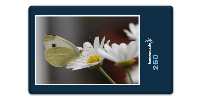 17856 Tierwelt - Schmetterling Puzzle