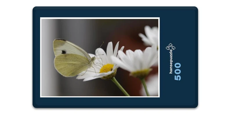 17856 Tierwelt - Schmetterling Puzzle