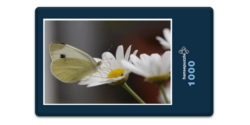17856 Tierwelt - Schmetterling Puzzle