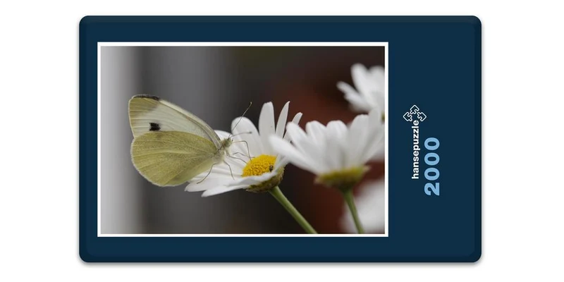 17856 Tierwelt - Schmetterling Puzzle
