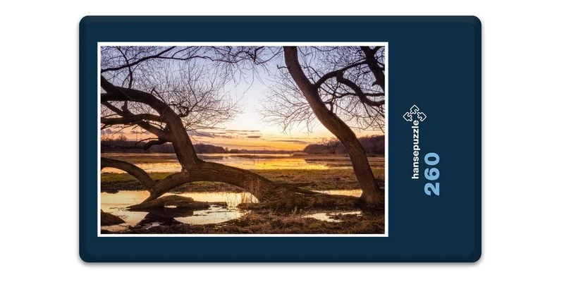 17857 Natur - Die mystischen Bäume Puzzle