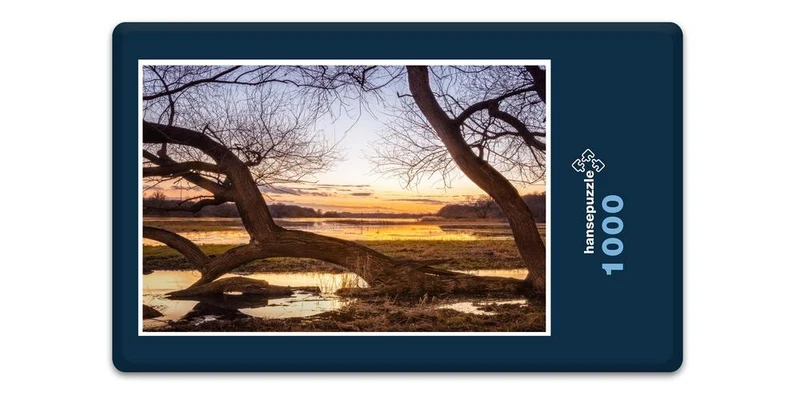 17857 Natur - Die mystischen Bäume Puzzle