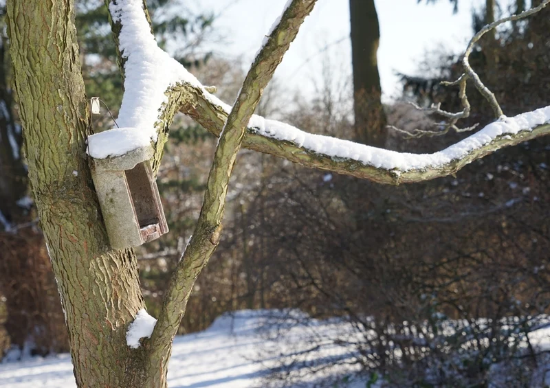 42776 Tierwelt - Winter Puzzle