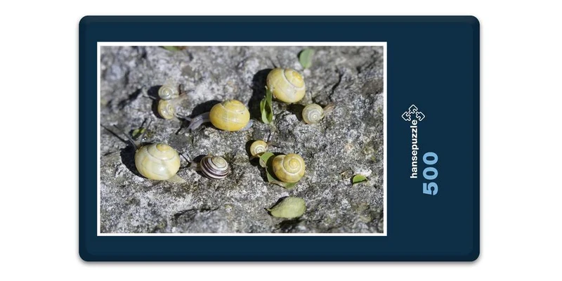 17812 Tierwelt - Schnecken-Familie Puzzle